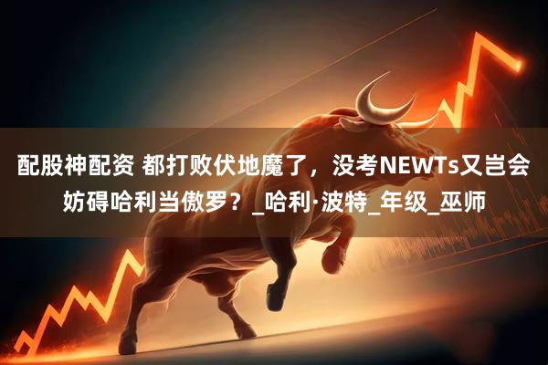 配股神配资 都打败伏地魔了，没考NEWTs又岂会妨碍哈利当傲罗？_哈利·波特_年级_巫师