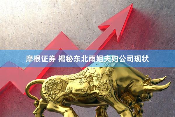 摩根证券 揭秘东北雨姐夫妇公司现状