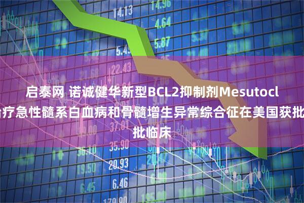 启泰网 诺诚健华新型BCL2抑制剂Mesutoclax治疗急性髓系白血病和骨髓增生异常综合征在美国获批临床